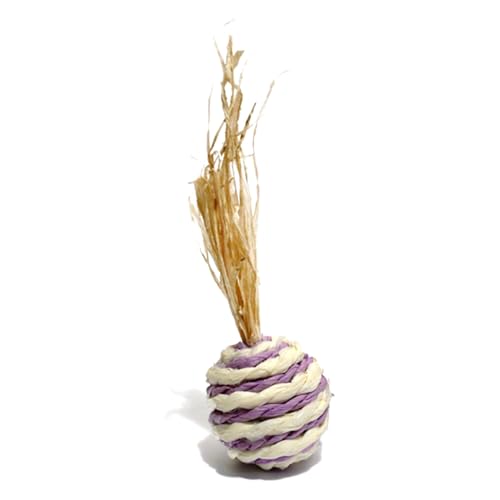 Rosewood 19263 Boredom Breaker Wacky Roller-Spielzeug für Kleintiere Rosewood 19263 Boredom Breaker Wacky Roller-Spielzeug für Kleintiere von Rosewood