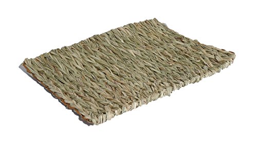 Rosewood 19473 Naturals Chill- Kratzmatte aus Weidengeflecht für Kaninchen, Chinchillas, Degus, Ratten und Frettchen, 38.5 x 29 cm Rosewood 19473 Naturals Chill- Kratzmatte aus Weidengeflecht für Kaninchen, Chinchillas, Degus, Ratten und Frettchen, 38.5 x 29 cm von Rosewood