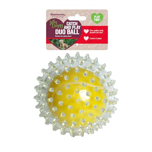 Rosewood 38300 Tennisball, Jolly Doggy, zum Fangen und Spielen für Hunde von Rosewood