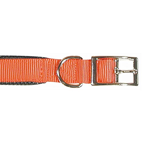 Rosewood 38501 klassisches Soft Protection Hundehalsband, Halsumfang: 46 cm, Breite: 19 mm, rot Rosewood 38501 klassisches Soft Protection Hundehalsband, Halsumfang: 46 cm, Breite: 19 mm, rot von Rosewood