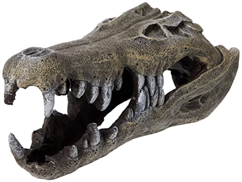 Rosewood 91355 Aquarium-Deko Nilkrokodil-Schädel - Large Rosewood 91355 Aquarium-Deko Nilkrokodil-Schädel - Large von Rosewood