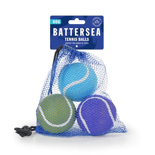 Rosewood Battersea Tennisbälle, Hundespielzeug, Blau und Grün, 6,5 cm x 6,5 cm Rosewood Battersea Tennisbälle, Hundespielzeug, Blau und Grün, 6,5 cm x 6,5 cm von Rosewood