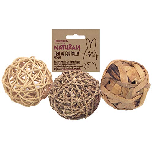 Rosewood Boredom Breaker Kleintierspielzeug Ball-Trio, mittel von Rosewood