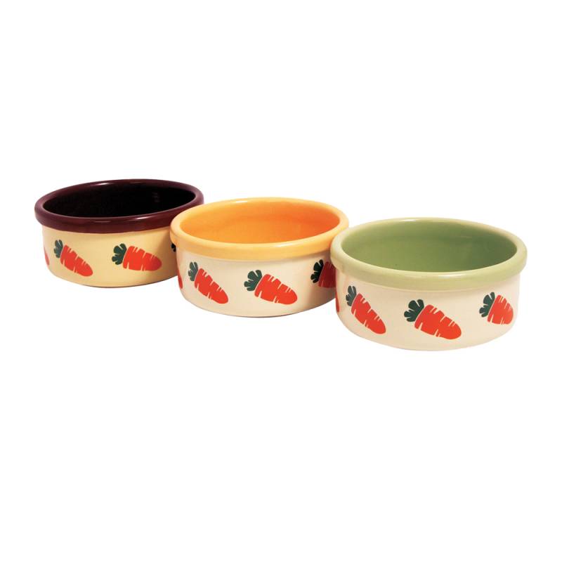 Rosewood Carrot Futternapf - 12,5 cm Rosewood Carrot Futternapf - 12,5 cm von Rosewood