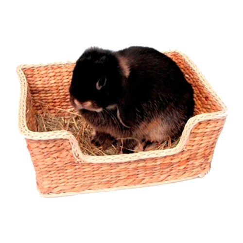 Rosewood Chill 'N' Snooze Nagetierbett von Rosewood