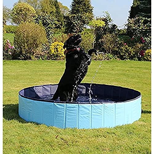Rosewood Cool Down Hundepool 120 x 30 cm Medium von Rosewood