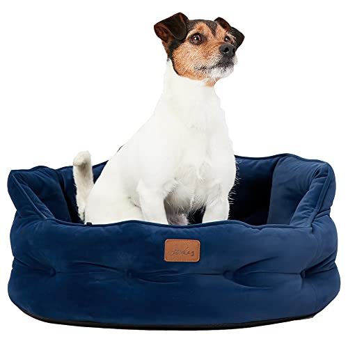 Rosewood Joules Chesterfield Haustierbett, groß, für Hunde und Katzen, Marineblau Rosewood Joules Chesterfield Haustierbett, groß, für Hunde und Katzen, Marineblau von Rosewood
