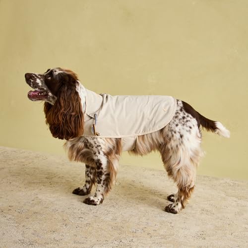 Rosewood Joules Sandshell Regenmantel für Hunde, Größe M, waschbar, leicht, Regen-/wasserabweisend, Hundemantel für mittelgroße Hunde von Rosewood