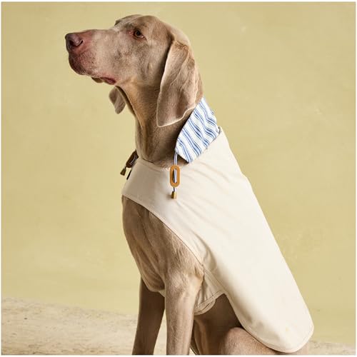 Rosewood Joules Sandshell Regenmantel für Hunde, groß, waschbar, leicht, Regen-/wasserabweisend, Hundemantel für große Hunde Rosewood Joules Sandshell Regenmantel für Hunde, groß, waschbar, leicht, Regen-/wasserabweisend, Hundemantel für große Hunde von Rosewood