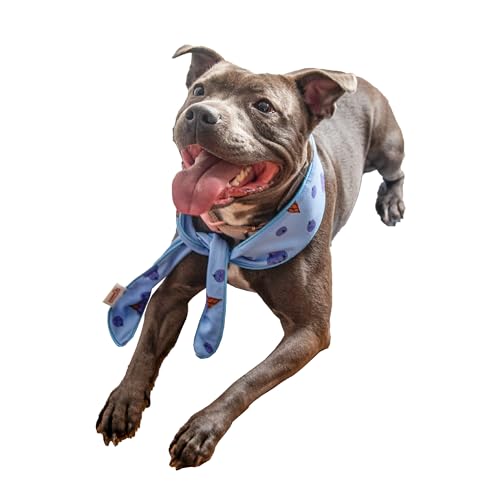 Rosewood Kühlendes Halstuch für Hunde, Größe M - Blaubeer-Eiscreme-Druck, verstellbare Passform, saugfähiger Schaumstoffabschnitt, Einweichen und Einfrieren für sofortige Kühlung, Bandana für von Rosewood