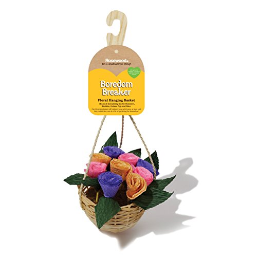 Rosewood Boredom Breaker Blumenampel, Spielzeug für kleine Tiere von Rosewood