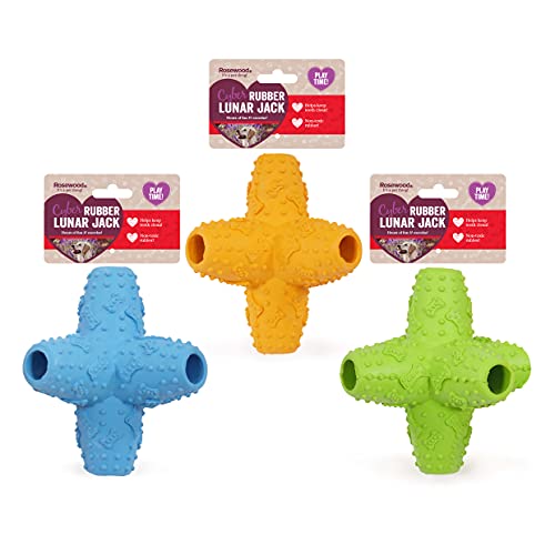 Rosewood Lunar Jack Hundespielzeug aus Gummi, robust, kaufest, mittelgroß von Rosewood