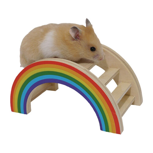 Rosewood Regenbogen-Spielbrücke von Rosewood