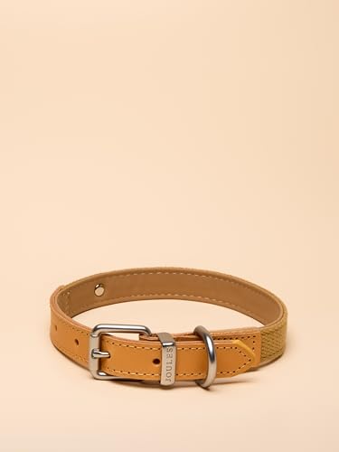 Rosewood x Joules Hundehalsband, Größe M, strapazierfähiges Leder und Gurtband, stilvolles Design mit gebürsteter Metallschnalle, hochwertiges Haustierzubehör Rosewood x Joules Hundehalsband, Größe M, strapazierfähiges Leder und Gurtband, stilvolles Design mit gebürsteter Metallschnalle, hochwertiges Haustierzubehör von Rosewood