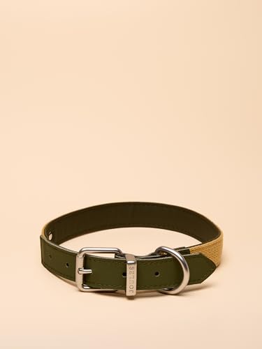 Rosewood x Joules Hundehalsband, Khaki, Größe L, strapazierfähiges Leder und Gurtband-Detail, stilvolles Design mit gebürsteter Metallschnalle, hochwertiges Haustierzubehör Rosewood x Joules Hundehalsband, Khaki, Größe L, strapazierfähiges Leder und Gurtband-Detail, stilvolles Design mit gebürsteter Metallschnalle, hochwertiges Haustierzubehör von Rosewood