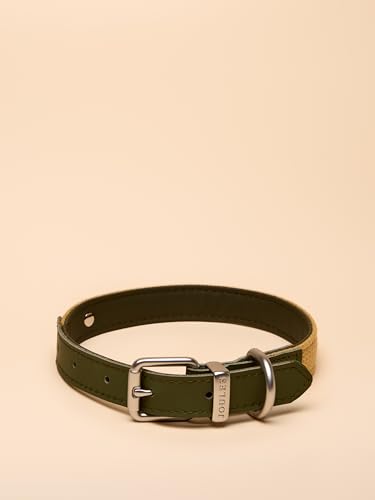 Rosewood x Joules Hundehalsband, Khaki, Größe M, strapazierfähiges Leder und Gurtband, stilvolles Design mit gebürsteter Metallschnalle, hochwertiges Haustierzubehör Rosewood x Joules Hundehalsband, Khaki, Größe M, strapazierfähiges Leder und Gurtband, stilvolles Design mit gebürsteter Metallschnalle, hochwertiges Haustierzubehör von Rosewood