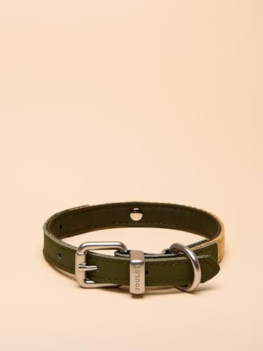 Rosewood x Joules Hundehalsband, Khaki, Größe S, strapazierfähiges Leder und Gurtband, stilvolles Design mit gebürsteter Metallschnalle, hochwertiges Haustierzubehör Rosewood x Joules Hundehalsband, Khaki, Größe S, strapazierfähiges Leder und Gurtband, stilvolles Design mit gebürsteter Metallschnalle, hochwertiges Haustierzubehör von Rosewood