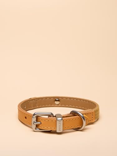 Rosewood x Joules Hundehalsband, klein, strapazierfähiges Leder und Gurtband, stilvolles Design mit gebürsteter Metallschnalle, hochwertiges Haustierzubehör Rosewood x Joules Hundehalsband, klein, strapazierfähiges Leder und Gurtband, stilvolles Design mit gebürsteter Metallschnalle, hochwertiges Haustierzubehör von Rosewood