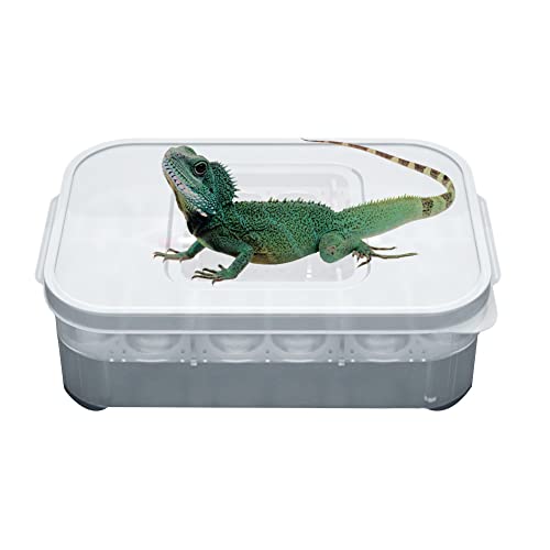 Rosixehird Kleine Reptilienzuchtbox | 12-Grid Profi-Zuchtbox mit Eierablage | Hatcher Hatching Box Case Tray Brutinkubator zum Schlüpfen von Schlangen, Eidechsen, Reptilien usw von Rosixehird