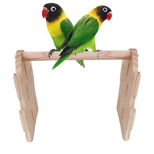 Rosixehird für Papageien | Tischsitzstangen aus Holz in Papageien- und Kaktusform,Verdickte tragbare Haustiersitzstangen für Käfig, Schreibtisch, kleine Papageiensitzstange für Sittiche von Rosixehird