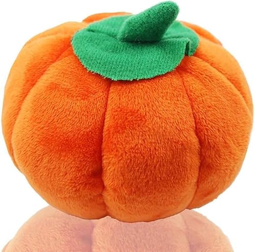 Rosojodg Orange Haustier Spielzeug Lustige Kürbis Kauspielzeug Quietschen Plüsch Hund Katze Spielzeug Pet Liefert Plüsch Spielzeug Rosojodg Orange Haustier Spielzeug Lustige Kürbis Kauspielzeug Quietschen Plüsch Hund Katze Spielzeug Pet Liefert Plüsch Spielzeug von Rosojodg