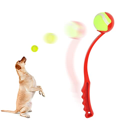 RosyFate Ballwerfer für Hunde, Ballschleuder für Hunde, Wurfarm Hund, Hunde Ballschleuder mit Ball, Hund Ballschleuder, 38cm (zufällige Farbe) von RosyFate
