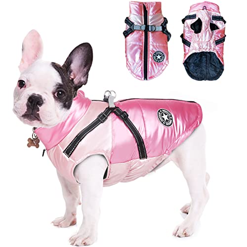 Hundemantel Winter, RosyFate Hund Warm Kleidung, Welpen Jacke, Weste Hund, Hunde Mantel Regendicht Winddicht, Hundemantel für Kleine und Mittlere Hunde (Rosa M) von RosyFate