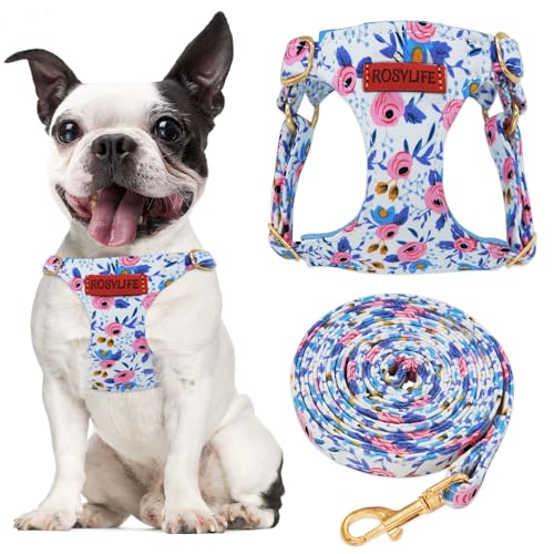 Hundegeschirr, kein Ziehen, verstellbar, kleine Geschirr und Leine, leicht und weich, kein Würgen, ausbruchsicher, Haustiergeschirr, Weste, Blau (Blau-Rose, Größe M) von RosyLife
