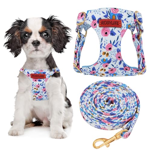 Hundegeschirr, kein Ziehen, verstellbar, kleine Geschirr und Leine, leicht und weich, kein Würgen, ausbruchsicher, Haustiergeschirr, Weste, Blau (Blau-Rose, XS) von RosyLife