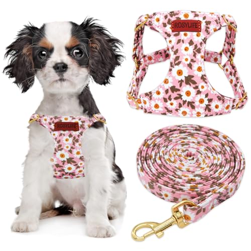 Hundegeschirr, kein Ziehen, verstellbares Hundegeschirr und Leine, Set für kleine Hunde, leicht und weich, kein Würgen, ausbruchsicher, Haustiergeschirr, Weste, Rosa Gänseblümchen, Größe XS von RosyLife