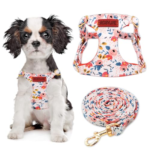 Hundegeschirr, kein Ziehen, verstellbares kleines Geschirr und Leine, leichtes und weiches Hundegeschirr, kein Würgen, ausbruchsicher, Haustiergeschirr, Weste, Orange Rose, XXS von RosyLife