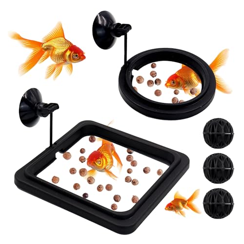 5 Stück Kunststoff Schwimmender Fisch-Futterring mit starkem Saugnapf & Filterball, Kleiner runder und quadratischer Betta Futterring, Aquarium Schildkröte Feeder für Goldfische Guppy Neon Tetra von Roucerlin