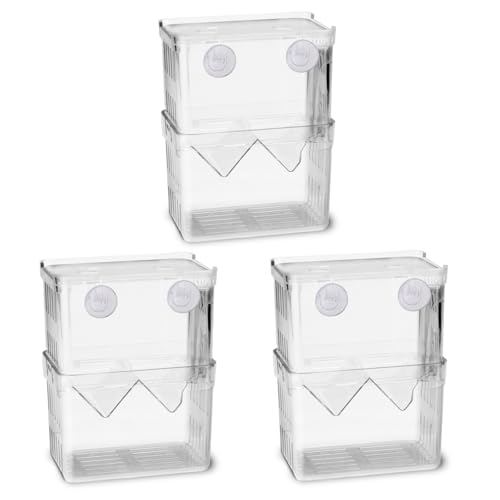 Roucerlin 3 Stück Züchterbox für Aquarium mit Saugnäpfen, klare Fischisolierung, Garnelen-Zuchtbox für Aquarium-Trennwand, Brutkasten für Korallen-Clownfische, Guppy-Ansammlung Roucerlin 3 Stück Züchterbox für Aquarium mit Saugnäpfen, klare Fischisolierung, Garnelen-Zuchtbox für Aquarium-Trennwand, Brutkasten für Korallen-Clownfische, Guppy-Ansammlung von Roucerlin
