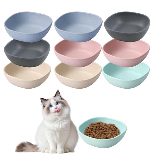 Roucerlin Futternapf für Katzen, flach, breit, 9,4 cm, für Kätzchen, Frettchen, kleine Hunde, 5 Farben, 9,4 cm, 10 Stück Roucerlin Futternapf für Katzen, flach, breit, 9,4 cm, für Kätzchen, Frettchen, kleine Hunde, 5 Farben, 9,4 cm, 10 Stück von Roucerlin