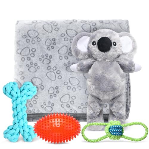 RoundFunny 6 Stück Get Well Soon Geschenkset beinhaltet Seilspielzeug, Quietschfußball, gefülltes Plüschtier Koala-Spielzeug, waschbare Decke mit Karte und Geschenkbox Hund von RoundFunny