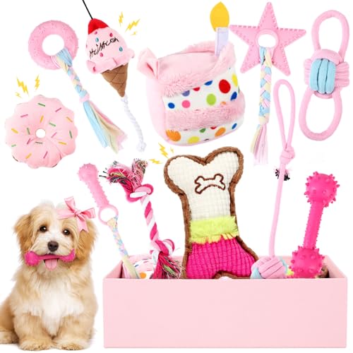 RoundFunny 11-teiliges Hunde-Geburtstags-Spielzeug-Set, Welpen, Geburtstagskuchen, quietschender Hund, Geburtstagsgeschenk mit Box, Plüschspielzeug, Hundespielzeug, quietschendes Spielzeug für Welpen, von RoundFunny
