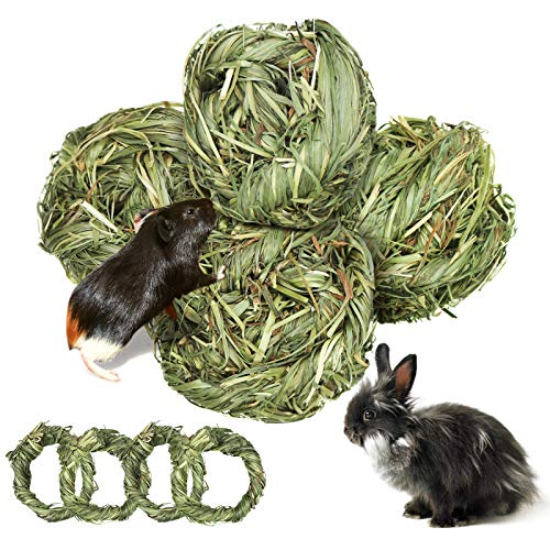 8 Stück Kaninchen Spielzeug, Meerschweinchen Kauspielzeug Grasball aus Natürlichen Timothy Heu Kaninchen Zahnpflege Futter Geeignet für Meerschweinchen Hase Chinchilla Hamster Rennmäuse von Roundler