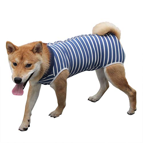 Routinfly Mode niedliche Kleine Haustier Hundebekleidung ，Hund Katze Pullover Welpen Mantel Jacke Kleidung HundeKleidung Hoodies Hundejacke Hündchen Pullover Mantel Haustier Welpen T-Shirt von Routinfly