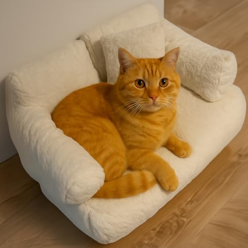 Roxlin Katzenbett kleines Hundesofa Flauschig und waschbar Katzensofa Hundebett für Katzen, weich Katzenbett katzencouch mit Rutschfester Unterseite (Weiß, M) von Roxlin