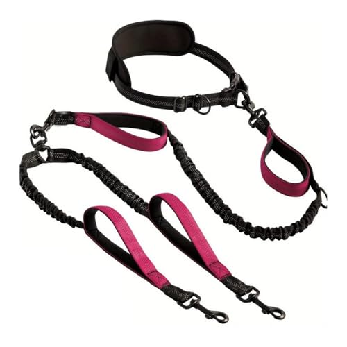 Roxvue Reflektierende Doppel-Hundeleine für 2 Hunde, Gepolsterte Griffe, Doppel-Hundeleine für Mittelgroße und Große Hunde, Training, Joggen, A Roxvue Reflektierende Doppel-Hundeleine für 2 Hunde, Gepolsterte Griffe, Doppel-Hundeleine für Mittelgroße und Große Hunde, Training, Joggen, A von Roxvue