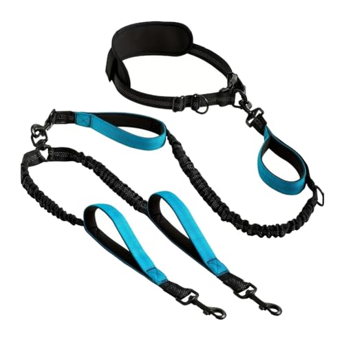 Roxvue Reflektierende Doppel-Hundeleine für 2 Hunde, Gepolsterte Griffe, Doppel-Hundeleine für Mittelgroße und Große Hunde, Training, Joggen, B Roxvue Reflektierende Doppel-Hundeleine für 2 Hunde, Gepolsterte Griffe, Doppel-Hundeleine für Mittelgroße und Große Hunde, Training, Joggen, B von Roxvue