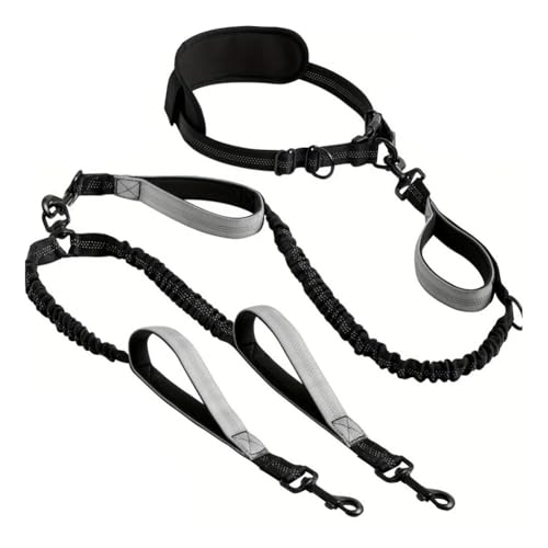 Roxvue Reflektierende Doppel-Hundeleine für 2 Hunde, Gepolsterte Griffe, Doppel-Hundeleine für Mittelgroße und Große Hunde, Training, Joggen, C Roxvue Reflektierende Doppel-Hundeleine für 2 Hunde, Gepolsterte Griffe, Doppel-Hundeleine für Mittelgroße und Große Hunde, Training, Joggen, C von Roxvue