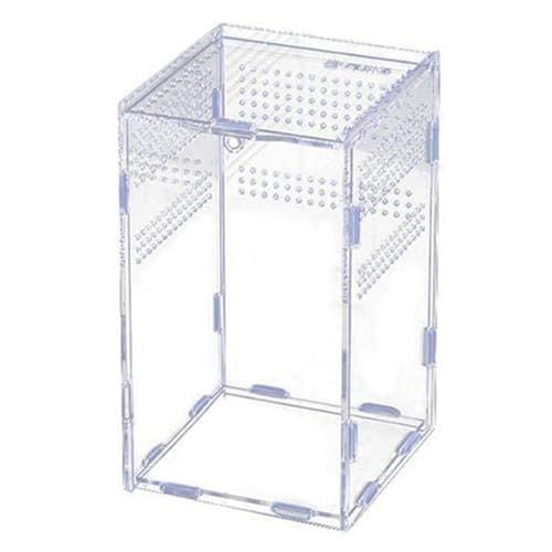 Roxvue Terrarium Aus Acryl für Reptilien - Transparente Aufzuchtbox, Insektenfütterungskäfig mit Baumgehege von Roxvue