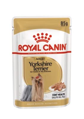 Royal Canin Nassfutter für ausgewachsene Yorkshire Terrier, 24 Packungen à 85 g, ideal für Terrier, ausgewachsene Hunde ab 10 Monaten, 6 cm Trixie Gummiball Spielzeug mit Wurfgriff von Royal Canin Adult Yorkshire Terrier