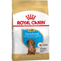 Doppelpack Royal Canin Breed - Dachshund Puppy (3 x 1,5 kg) von Royal Canin Breed