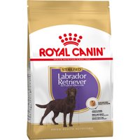 Doppelpack Royal Canin Breed - Labrador Retriever Sterilised Adult (2 x 12 kg) von Royal Canin Breed