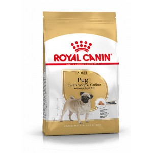 Royal Canin Adult Mops Hundefutter 2 x 3 kg von Royal Canin Breed