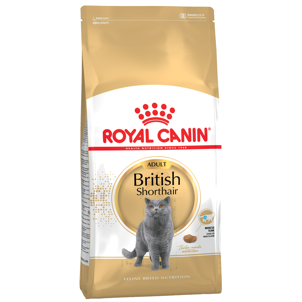 Royal Canin British Shorthair Adult - 10 kg von Royal Canin Breed