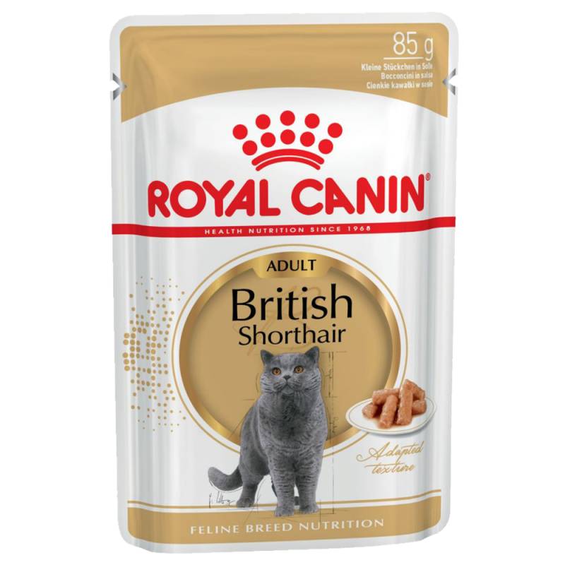 Royal Canin British Shorthair Adult in Soße - Sparpaket: 48 x 85 g von Royal Canin Breed