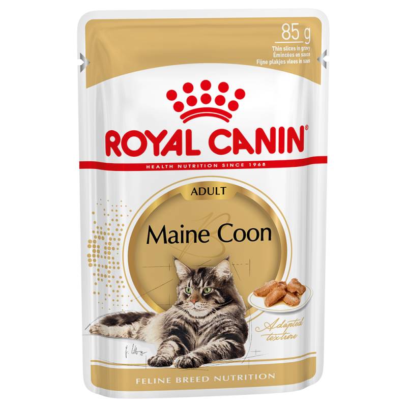 Royal Canin Maine Coon Adult in Soße - 12 x 85 g von Royal Canin Breed